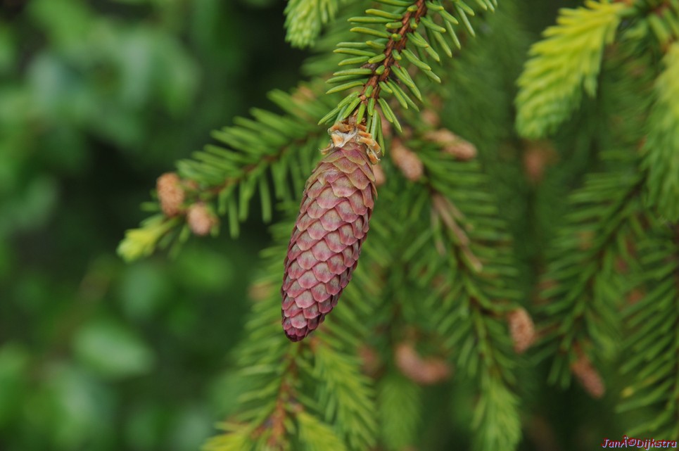 dsc_3393.jpg