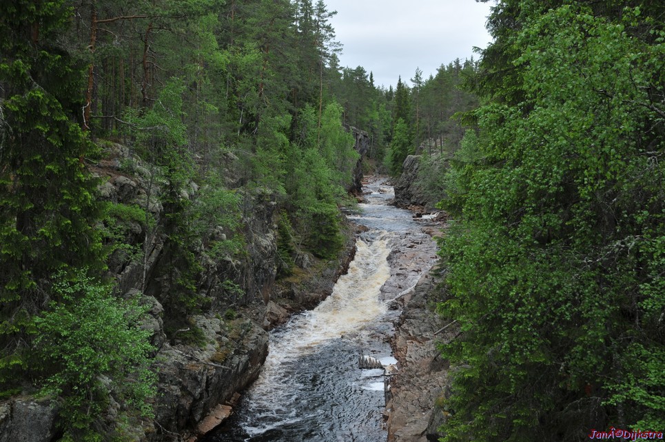 dsc_3411.jpg