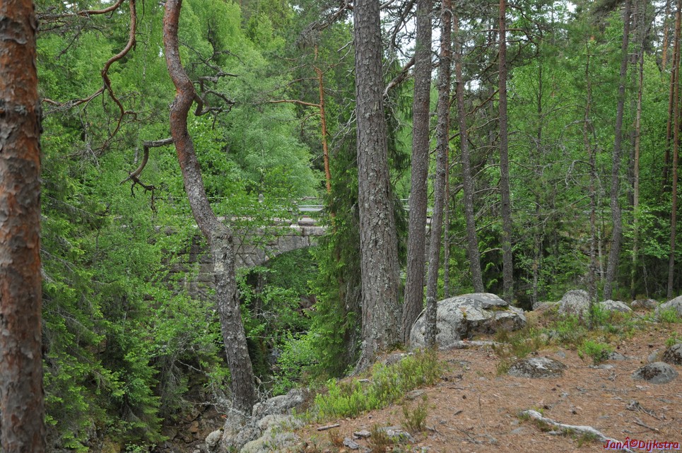 dsc_3412.jpg