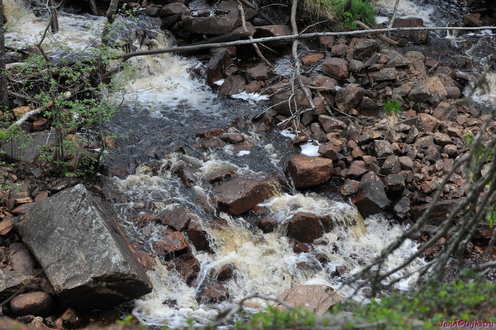 dsc_3419.jpg