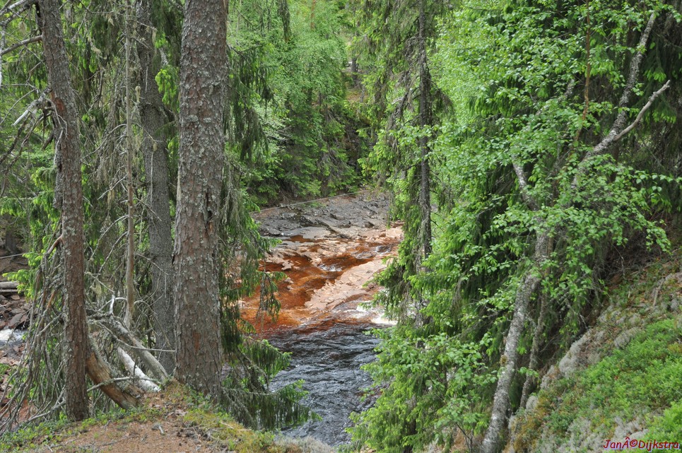 dsc_3420.jpg