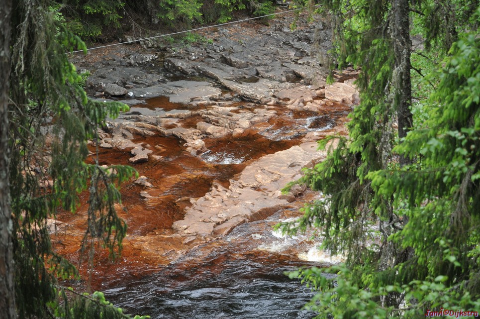 dsc_3421.jpg