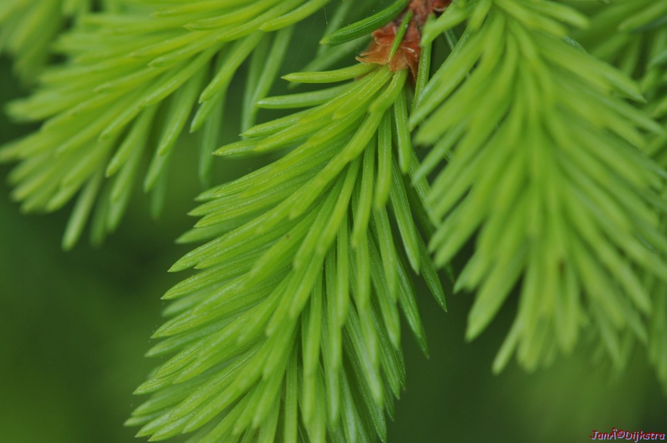 dsc_3429.jpg