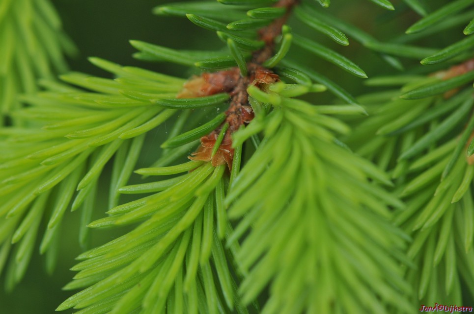 dsc_3430.jpg