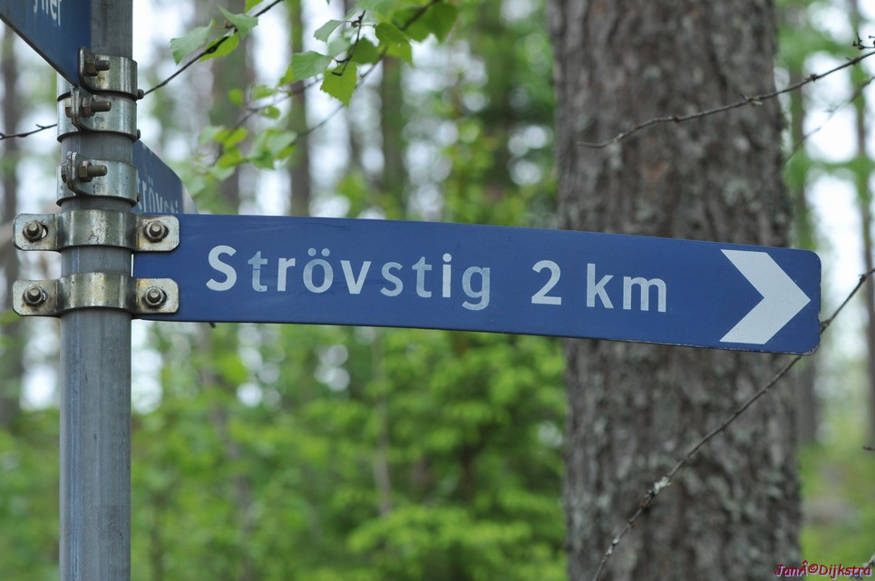 dsc_3433.jpg