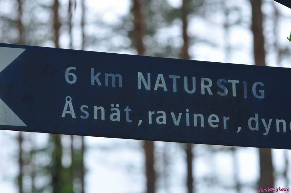 dsc_3436.jpg