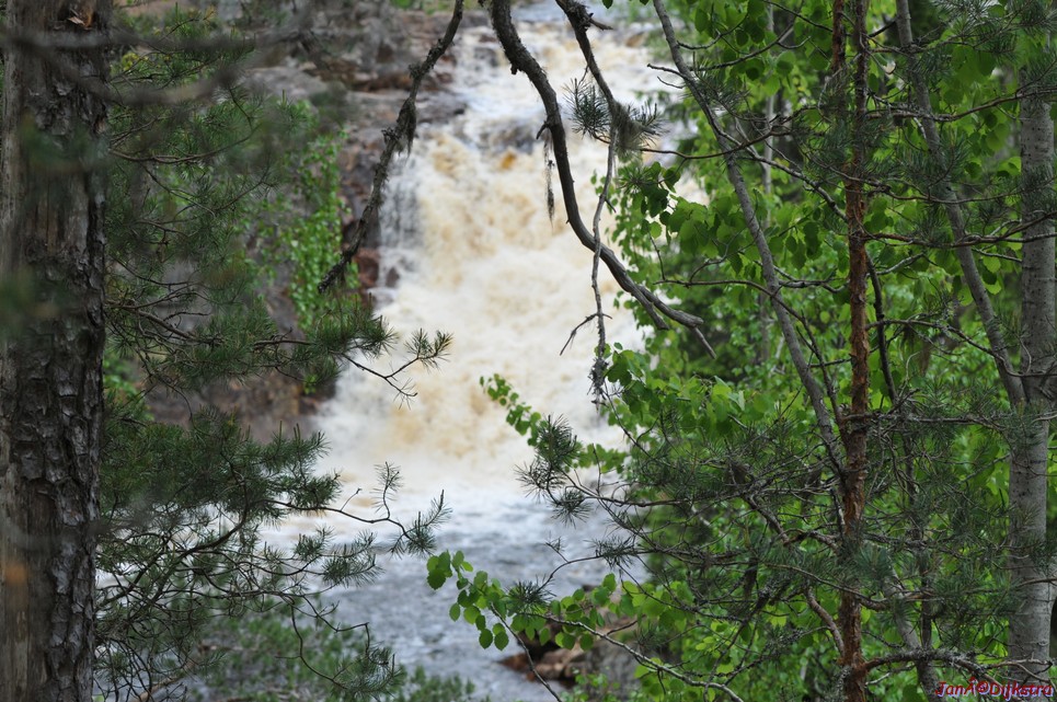 dsc_3438.jpg