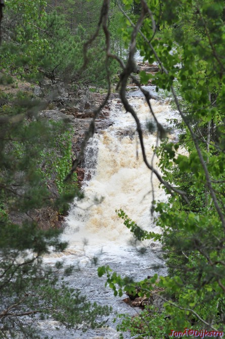 dsc_3439.jpg