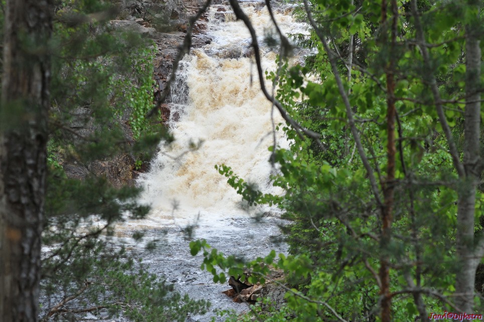 dsc_3440.jpg