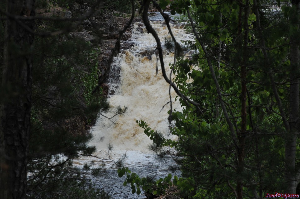 dsc_3441.jpg