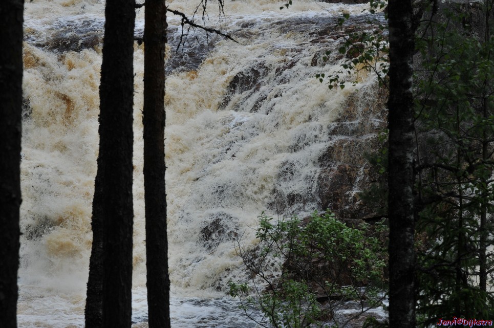 dsc_3442.jpg