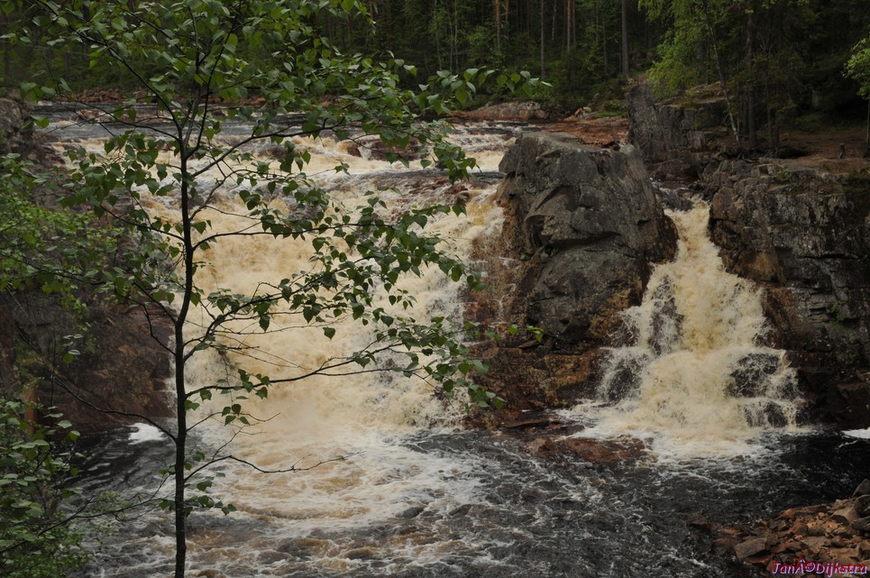 dsc_3444.jpg