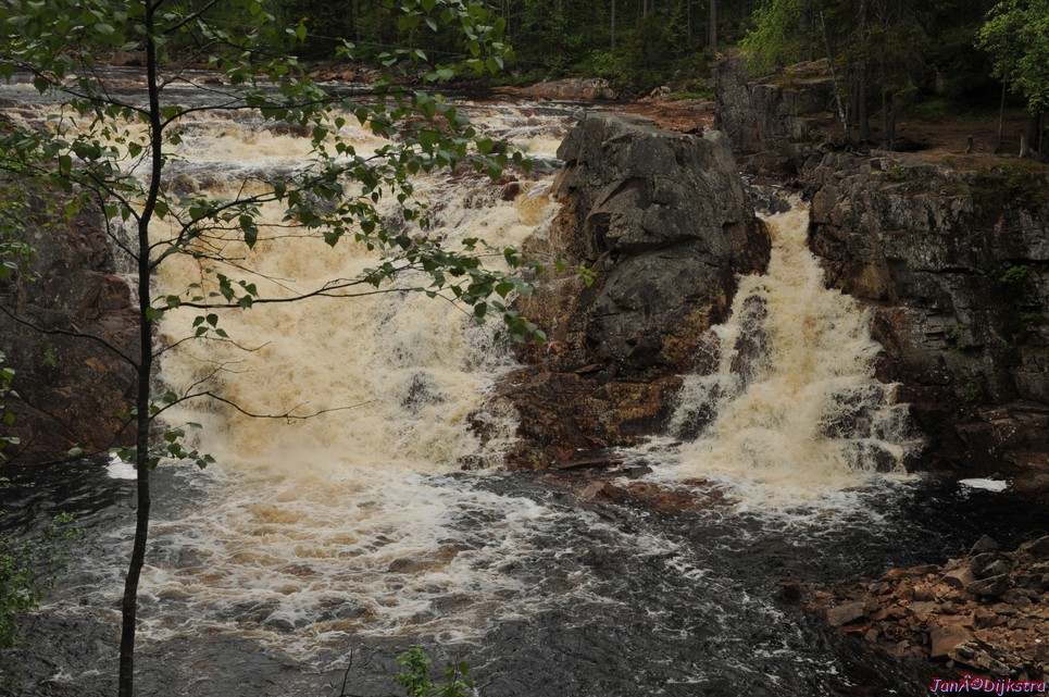 dsc_3446.jpg