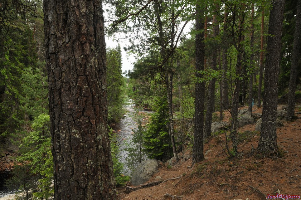 dsc_3447.jpg