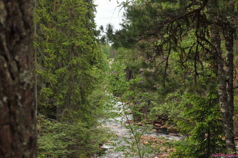 dsc_3448.jpg