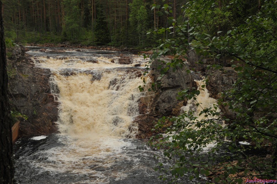 dsc_3449.jpg
