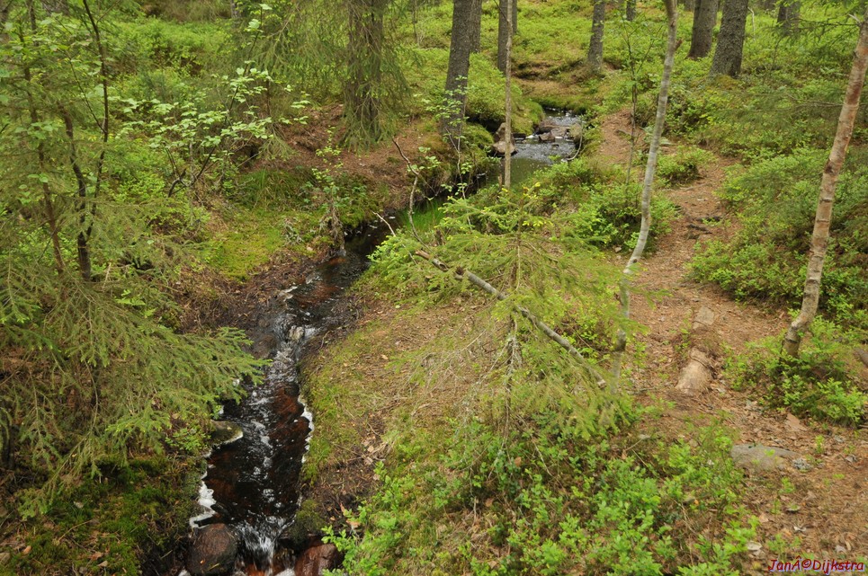 dsc_3451.jpg