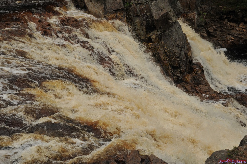 dsc_3455.jpg