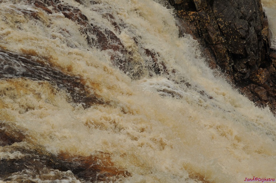 dsc_3456.jpg