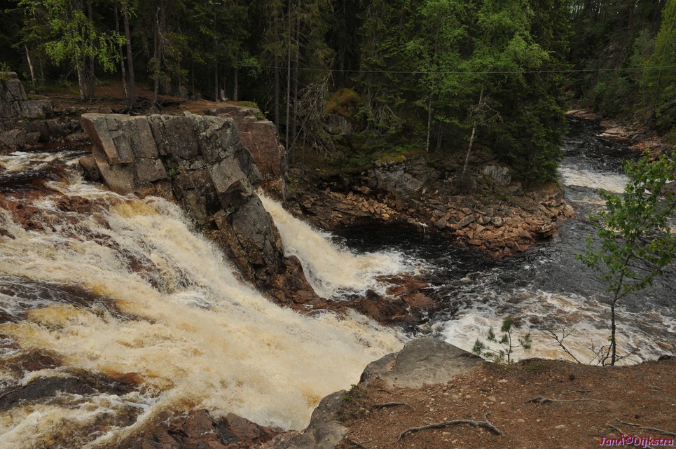 dsc_3458.jpg