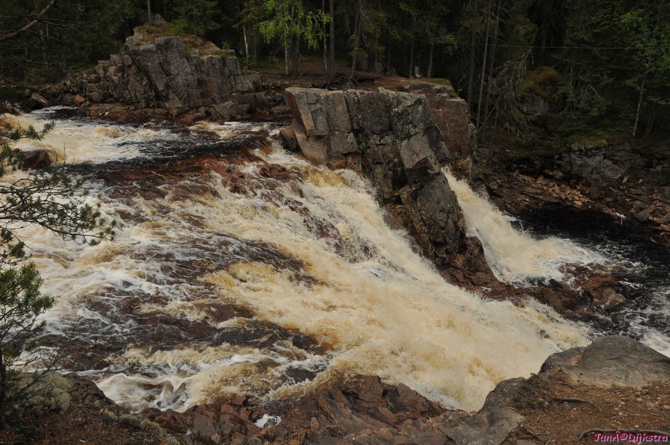 dsc_3459.jpg