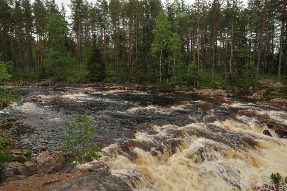 dsc_3461.jpg
