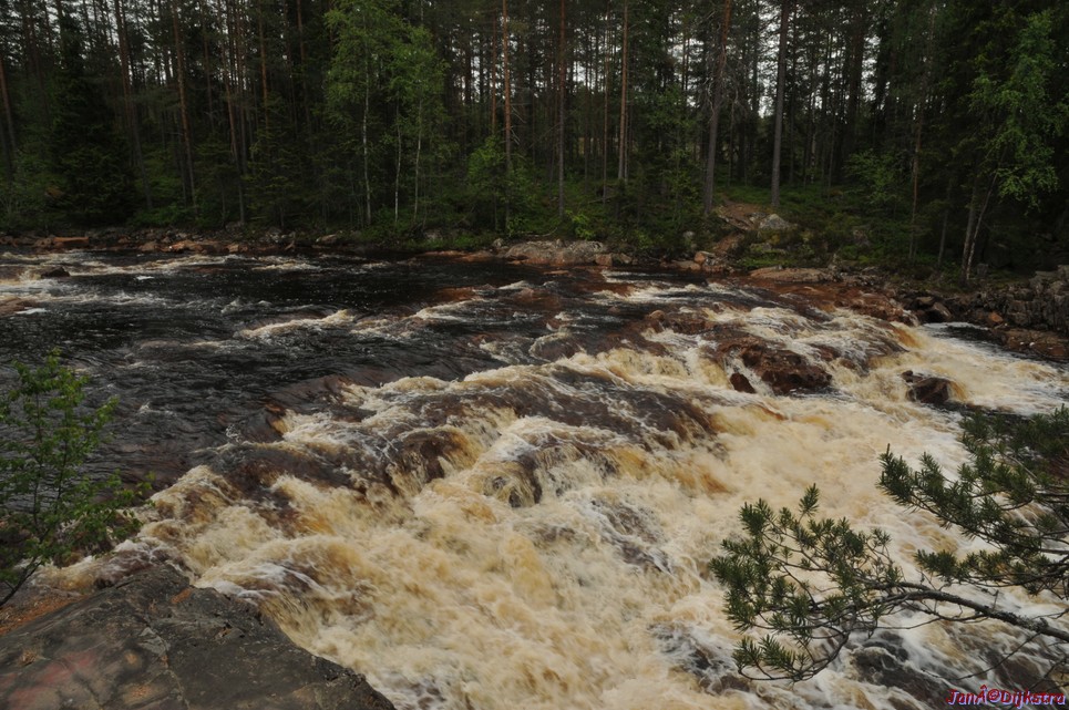 dsc_3462.jpg