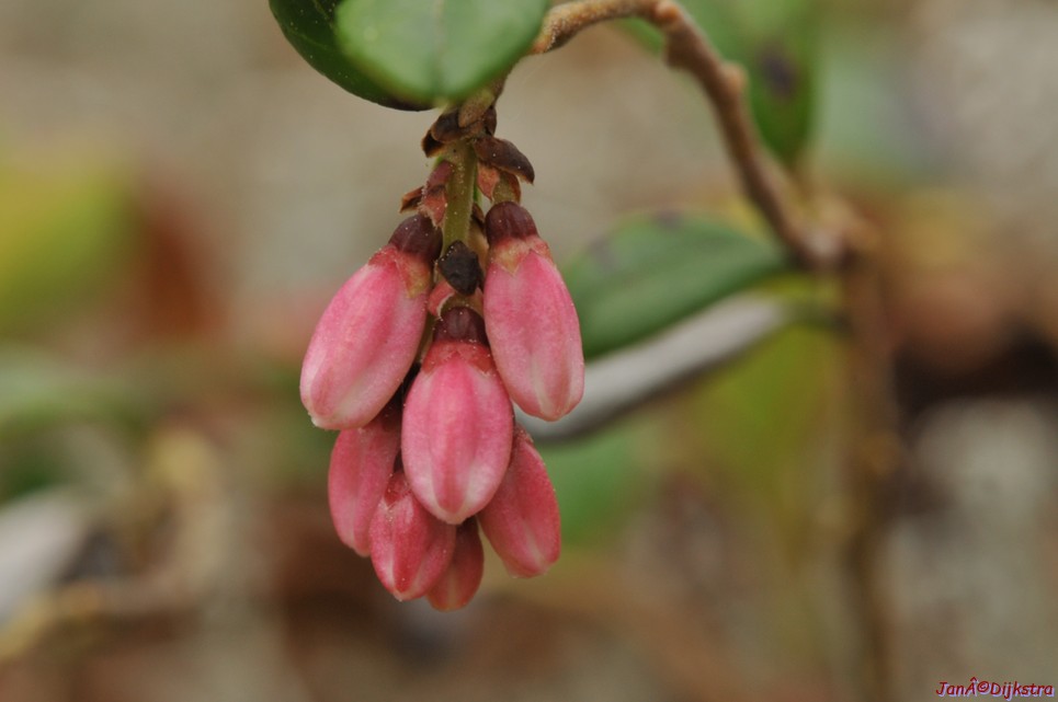 dsc_3480.jpg