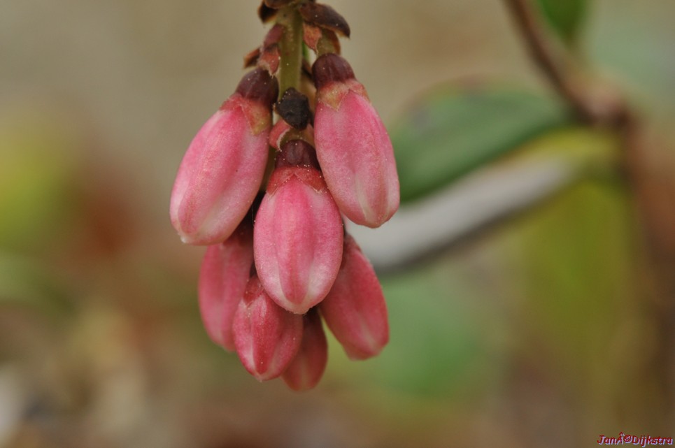 dsc_3483.jpg