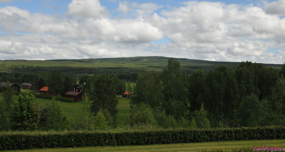 dsc_3536.jpg