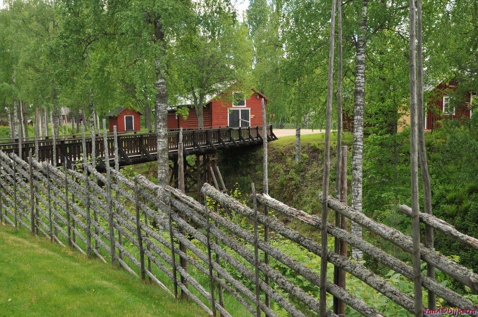 dsc_3563.jpg