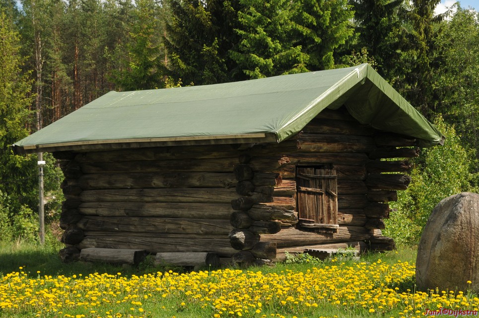 dsc_3572.jpg