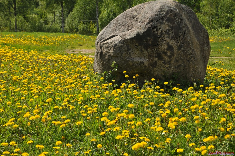 dsc_3578.jpg