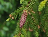 dsc_3393.jpg
