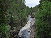 dsc_3411.jpg
