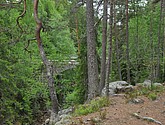 dsc_3412.jpg