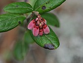 dsc_3413.jpg