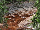 dsc_3418.jpg