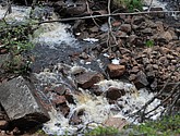 dsc_3419.jpg