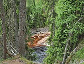dsc_3420.jpg