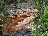 dsc_3421.jpg