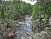 dsc_3423.jpg