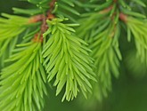 dsc_3427.jpg
