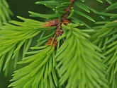 dsc_3430.jpg