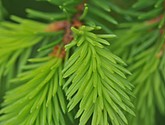 dsc_3431.jpg