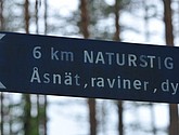 dsc_3436.jpg