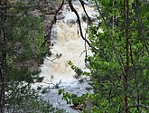 dsc_3438.jpg