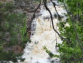 dsc_3439.jpg