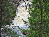 dsc_3440.jpg