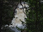 dsc_3441.jpg